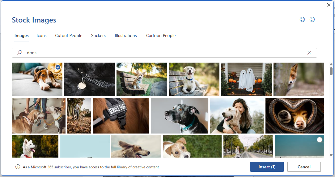 Stock Images gallery in Word